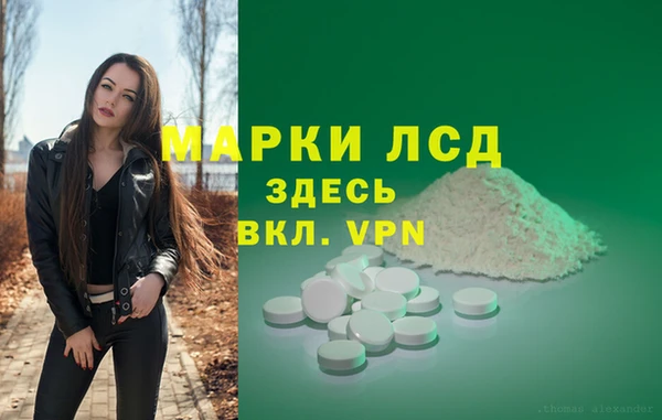 трава Пересвет
