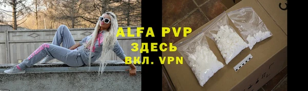 трава Пересвет