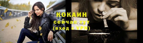 трава Пересвет