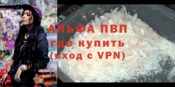 трава Пересвет