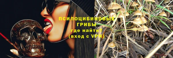 a pvp Пестово