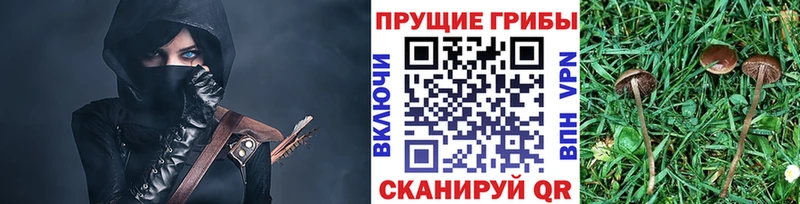 Псилоцибиновые грибы GOLDEN TEACHER Гурьевск