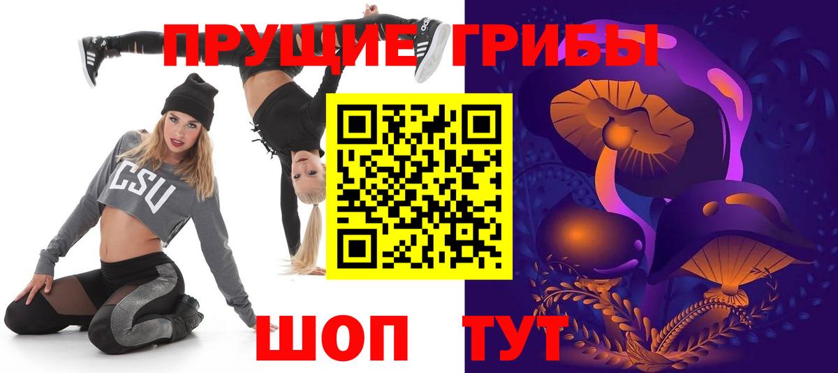 Псилоцибиновые грибы Psilocybine cubensis  как найти закладки  Гурьевск 