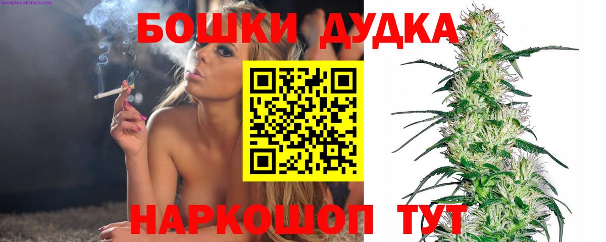 Конопля сатива Гурьевск